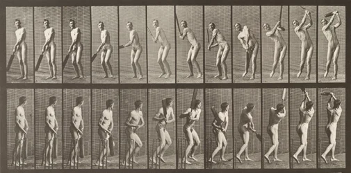 Kriketti, levy 291, Animal Locomotion, 1887